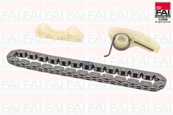 Cadena, accionamiento bomba de aceite Ford C-Max (DM2)